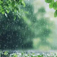 نیاز به یه نفر جهت ادیت عکس