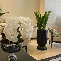 مرکز پخش درخت مصنوعی وارداتی|گل مصنوعی|قم, باجک یک|دیوار