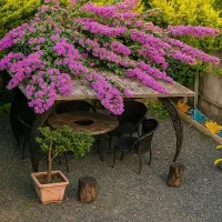 ویلا سه خوابه استخر سرپوشیده در محمودآباد|اجارهٔ کوتاه‌مدت ویلا و باغ|ایزدشهر, |دیوار