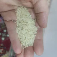 چلتیک برنج طارم چروم|خوردنی و آشامیدنی|بهبهان, |دیوار