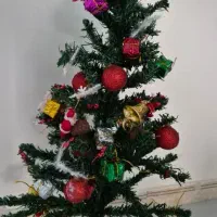 درختچه کریسمس