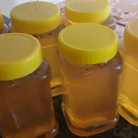 عسل درجه ی یک صد درصد طبیعی
