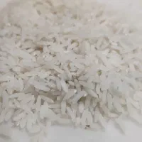 طارم هاشمی