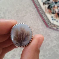 خردنقره سالم و شکسته