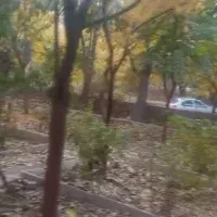 باغ و باغچه ویلایی در فوجرد|فروش خانه و ویلا|قم, گذر قلعه|دیوار