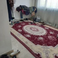 تعداد دو تخته فرش ماشینی لاکی 6متری|فرش|کرج, شاهینویلا|دیوار