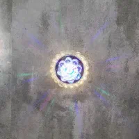 لوستر و انواع دیوار کوب|لوستر و چراغ آویز|شیراز, ریاستی|دیوار