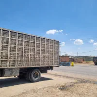 اتاق تک مرغی