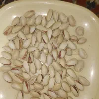 پسته لوکس آجیلی