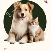 اجاره پت شاپ کلینیک دامپزشکی