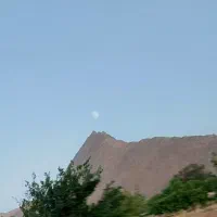 زمین کشاورزی مناسب گلخانه و باغ