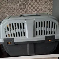 لونه حیوان خانگی