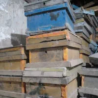 کندو وطبقه زنبور عسل