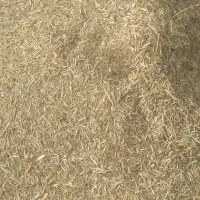 کاه علوفه|عمدهفروشی|کازرون, |دیوار