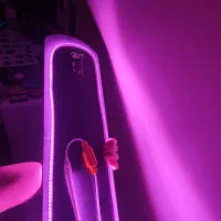 اینه|آینه|نسیم‌شهر, |دیوار