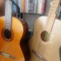 آموزش گیتار ویژه بانوان