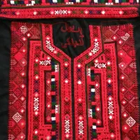 زی استین چرخ دست|لباس|گنبد کاووس, |دیوار