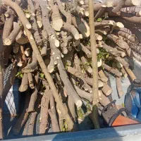 خرید و برش مرکبات