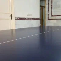 میز پینگ پنگ|ورزشهای توپی|تبریز, |دیوار