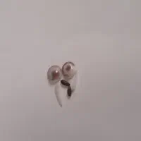 شادگان