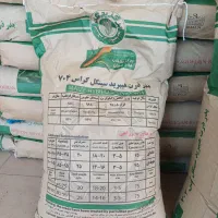 بذر ذرت|گل و گیاه طبیعی|روانسر, |دیوار