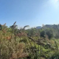 فروش-240-متر-زمین-بلوار-طالقانی-رامسر