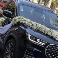 ماشین عروس تیگو ۷پرو مکس