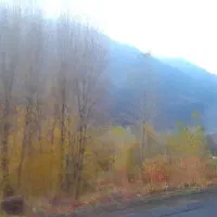 سرویس فرهنگیان