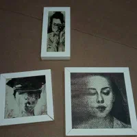 تابلو دیواری زیبا مخصوص شیک پسندها|تابلو، نقاشی، عکس|سردشت, |دیوار