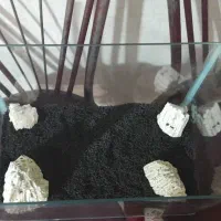 آکواریوم با تمام وسایل