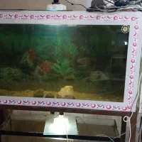 آکواریوم بزرگ با پایه
