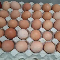 تخم مرغ گلپایگانی