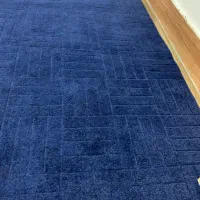 دو عدد موکت ظریف مصور درحدنو