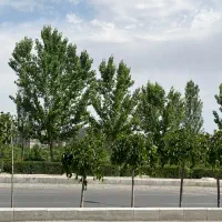 زمین-حاشیه-چشم-انداز-گلمکان-مناسب-ساخت