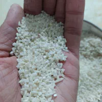 برنج محلی علی کاظمی موجود ه|خوردنی و آشامیدنی|زاغه, |دیوار