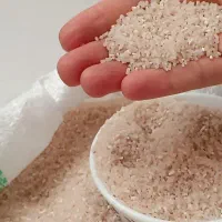 برنج فجر گرگان|خوردنی و آشامیدنی|شاهین‌شهر, شهرک سایت|دیوار