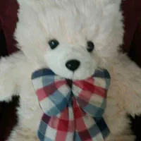 خرس بزرگ ۱متری|اسباب‌‌بازی|ساری, |دیوار