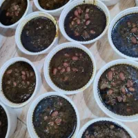 غذای خانگی باکیفیت بالا|خدمات پذیرایی، مراسم|بندرعباس, |دیوار