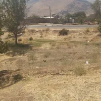 زمین مرغوب درجه بغل روستاوکتارجاده اصلی|فروش زمین و ملک کلنگی|دینور, |دیوار