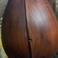 دوتار کاسه بزرگ