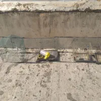 قفس پرنده با وسایل جانبی|لوازم جانبی حیوانات|اندیشه, شهرک مریم|دیوار