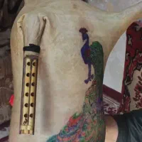 نیاز من پول