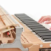 پیانو هیبرید اندانته فوق العاده با کیفیت|پیانو، کیبورد، آکاردئون|مشهد, سرافرازان|دیوار