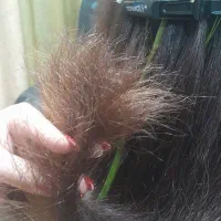 موخوره گیری روسی با آبرسانی کامل با قیمت مناسب|خدمات آرایشگری و زیبایی|مرند, |دیوار