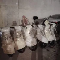 پاکشتی نو در پلاستیک