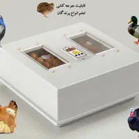 دستگاه جوجه کشی دیجیتال کاکس ۴۲عددی|لوازم جانبی حیوانات|تهران, ایران|دیوار