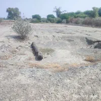 زمین در چراغ آباد هشتبندی|فروش زمین و ملک کلنگی|سندرک, |دیوار