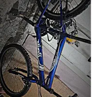 دوچرخه 24بونیتو