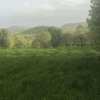 زمین دیم ویسیان