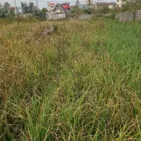 فروش یک قطعه زمین|فروش زمین و ملک کلنگی|رشت, شهرک احمد خمینی|دیوار